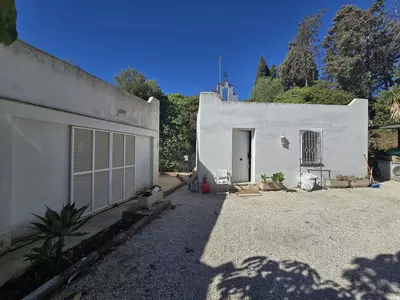 Detached Villa in Marbella