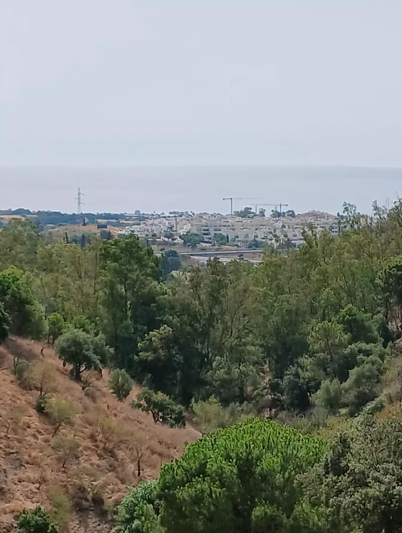Finca - Cortijo in Estepona