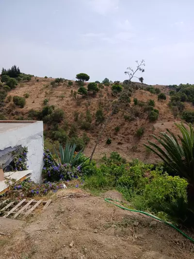 Finca - Cortijo in Estepona