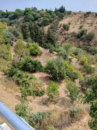 Finca - Cortijo in Estepona