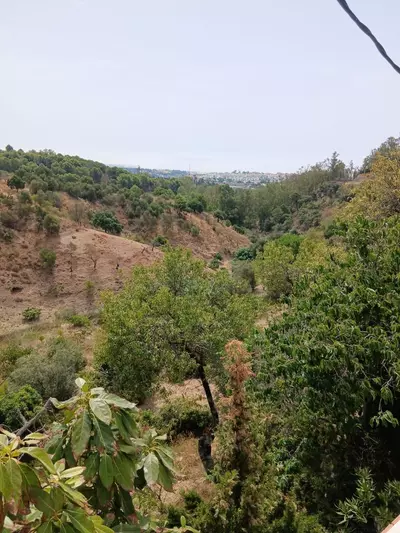 Finca - Cortijo in Estepona
