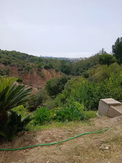 Finca - Cortijo in Estepona
