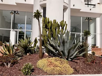 Middle Floor Apartment in Estepona
