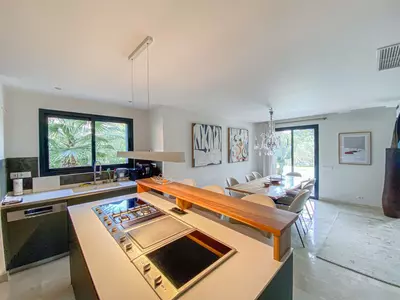 Detached Villa in Elviria