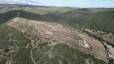Land in Manilva