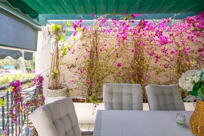 Middle Floor Apartment in Nueva Andalucía