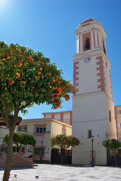 Ground Floor Apartment in Estepona