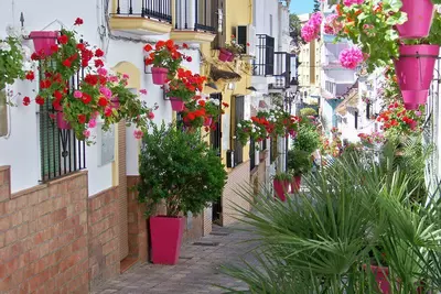 Ground Floor Apartment in Estepona