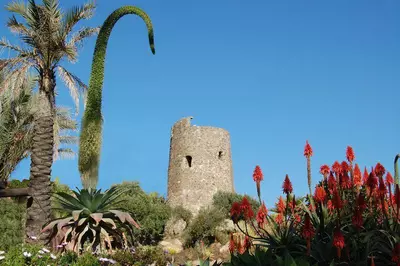 Ground Floor Apartment in Estepona