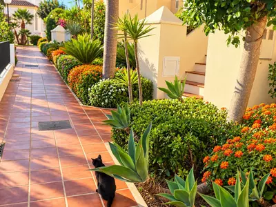 Penthouse in Casares Playa