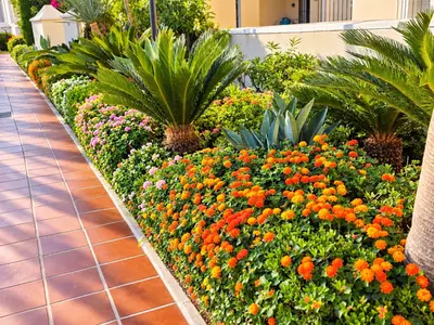 Penthouse in Casares Playa