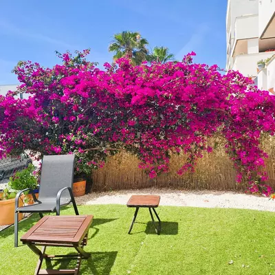 Ground Floor Apartment in Casares Playa