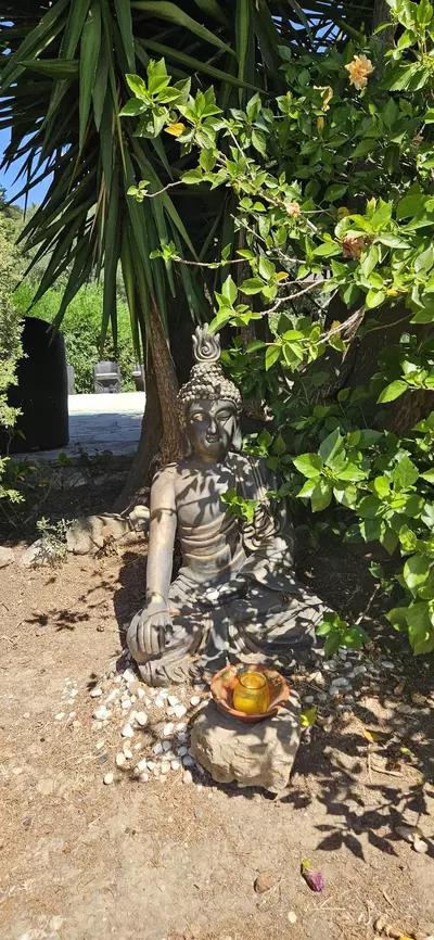 Finca - Cortijo in Casares