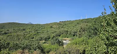 Finca - Cortijo in Casares