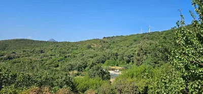 Finca - Cortijo in Casares