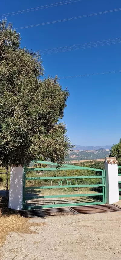 Finca - Cortijo in Casares