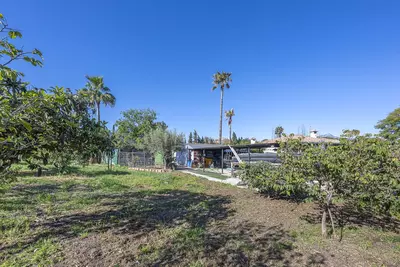 Detached Villa in Guadalmina Alta
