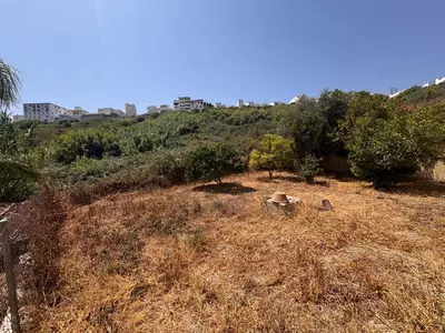 Detached Villa in Manilva