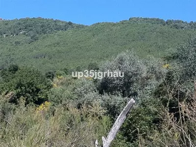 Land in Casares