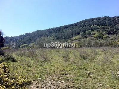 Land in Casares