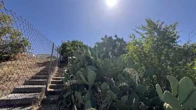Finca - Cortijo in Estepona