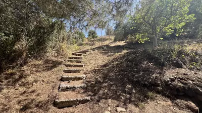 Finca - Cortijo in Estepona