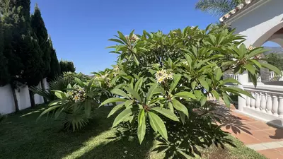 Finca - Cortijo in Estepona