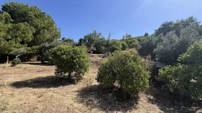 Finca - Cortijo in Estepona