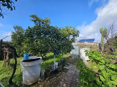Bungalow in Casares