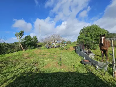 Bungalow in Casares