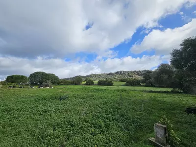 Bungalow in Casares