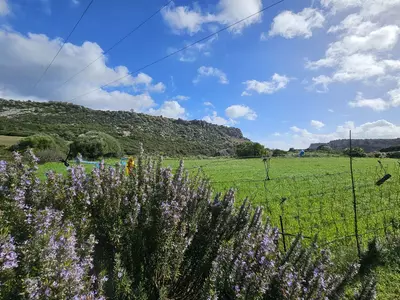 Bungalow in Casares