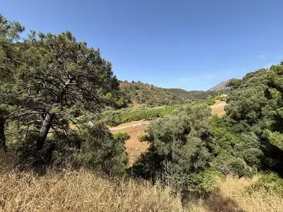 Land in El Padron