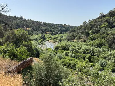 Land in El Padron