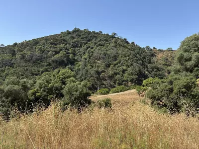 Land in El Padron