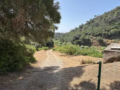 Land in El Padron