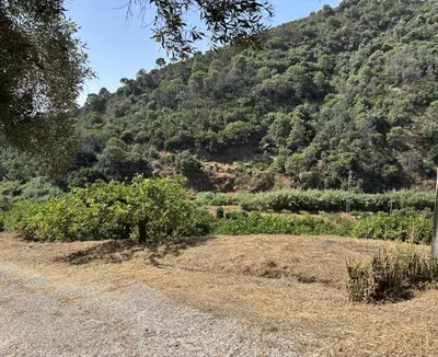 Land in El Padron