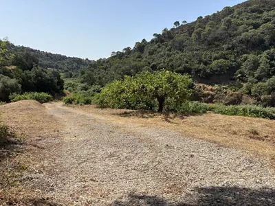 Land in El Padron