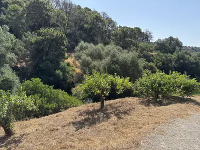 Land in El Padron