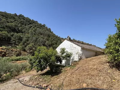 Land in El Padron
