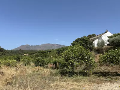 Land in El Padron