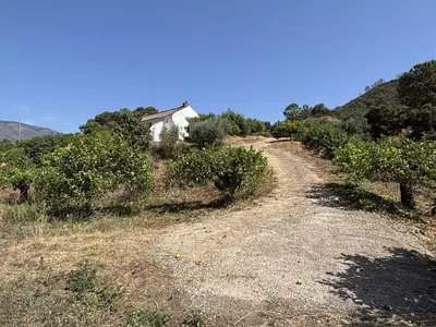 Land in El Padron
