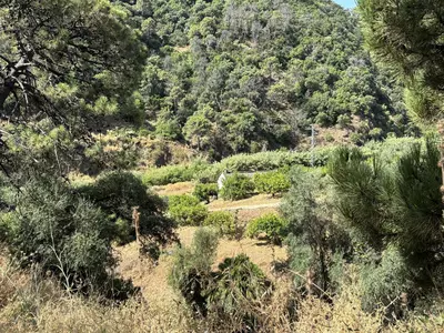 Land in El Padron