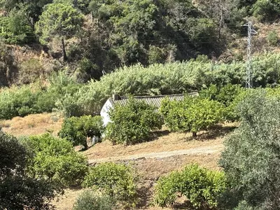 Land in El Padron