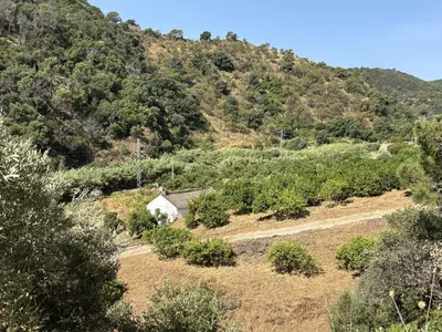 Land in El Padron