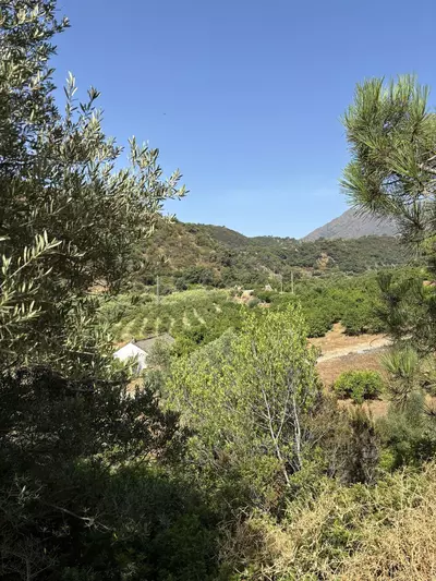 Land in El Padron
