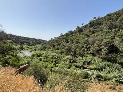 Land in El Padron