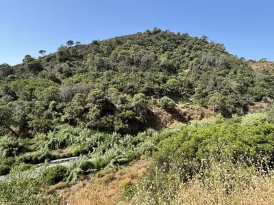 Land in El Padron
