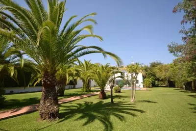 Detached Villa in Guadalmina Baja