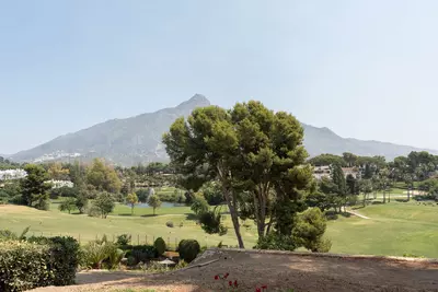 Ground Floor Apartment in Nueva Andalucía